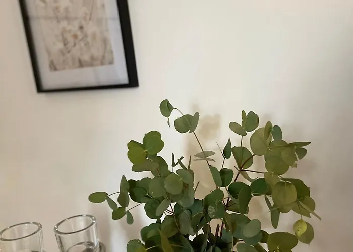 Weberhof - 6 * Munster (North Rhine-Westphalia)