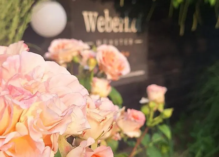 Weberhof - 6 *